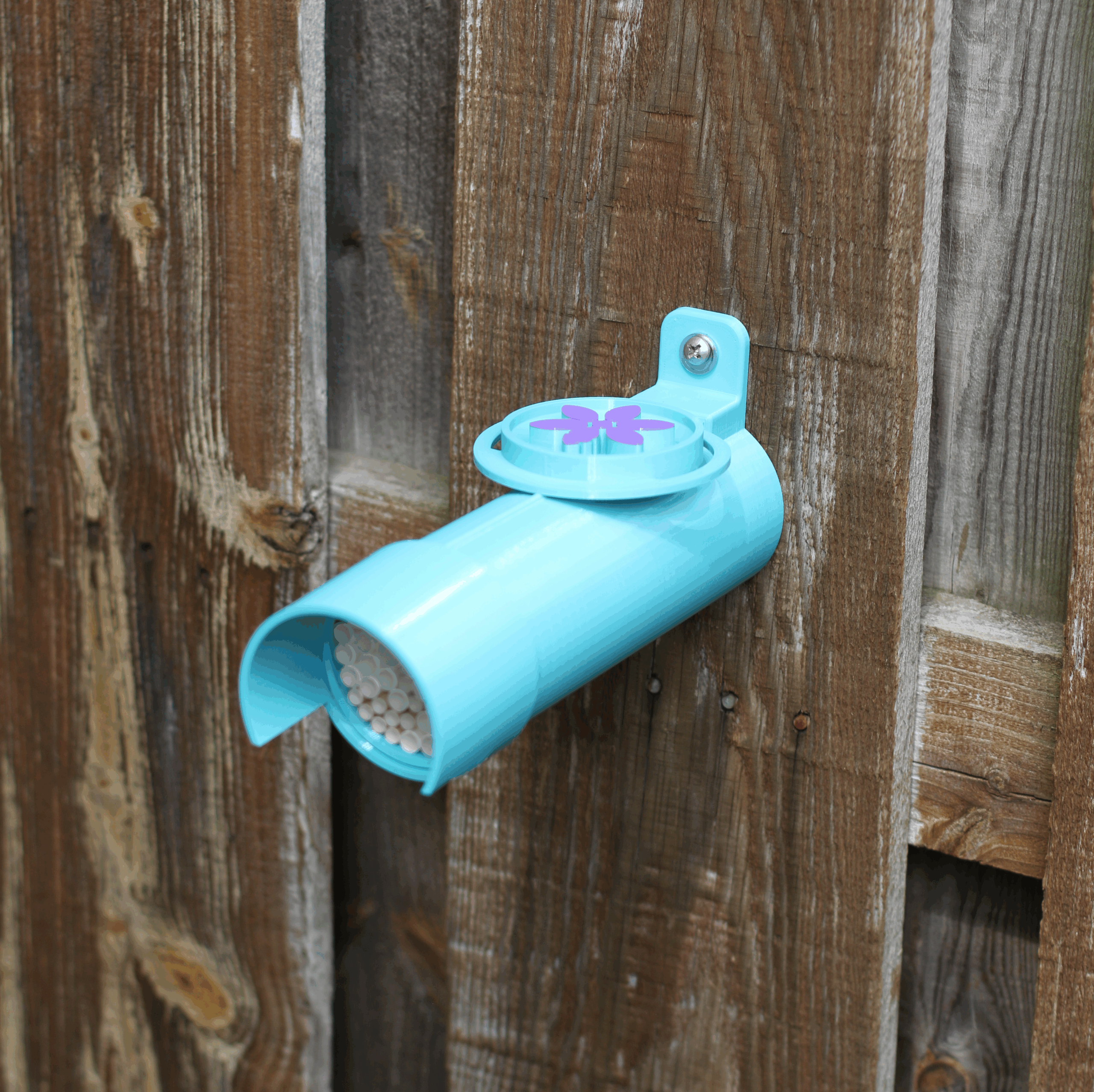 Pollinator Pod - Image 4