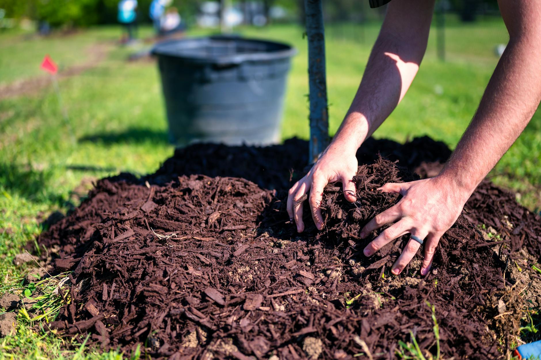 hands on a pile of dirt