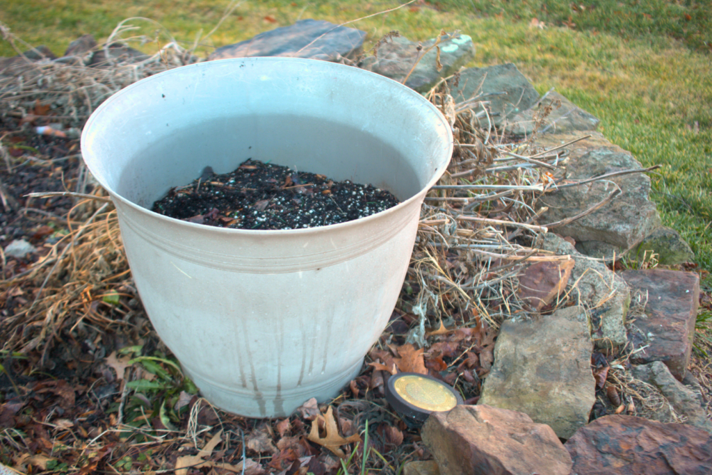 Unsightly empty pot that needs to be replaced in order to improve curb appeal