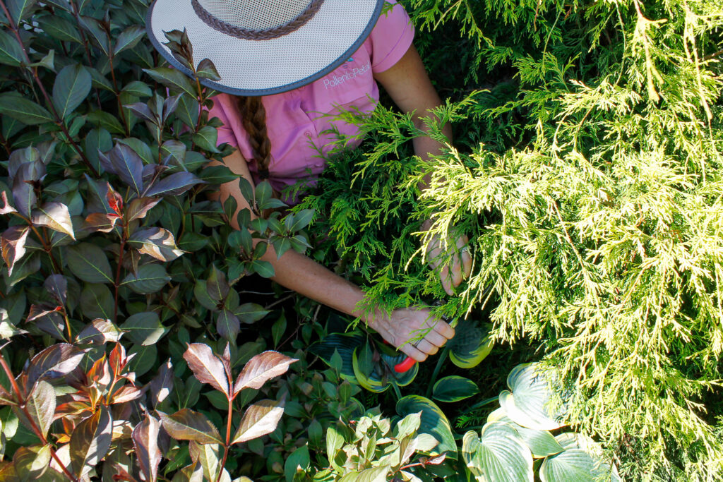 Sa'dia Luallen-Blattert of Pollen to Petal creates beautiful landscape designs for a local homeowner