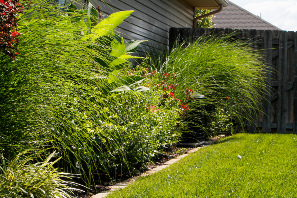 A beautifully landscaped row of native plants alongside a home in Springfield, Missouri