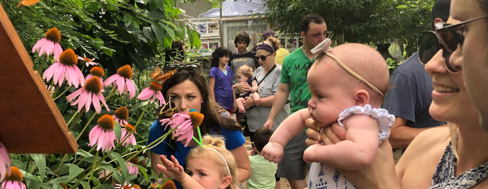 A young infant, a preschool girl, their parents and other visitors get a close look at beautiful butterflies at the Roston Butterfly House