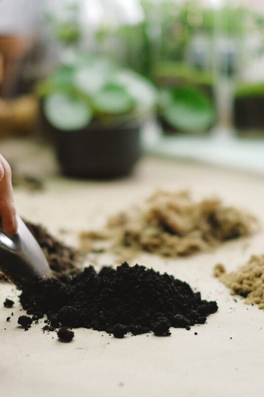 Hand of a researcher holding a shovel with four small samples of different types of soil on a countertop