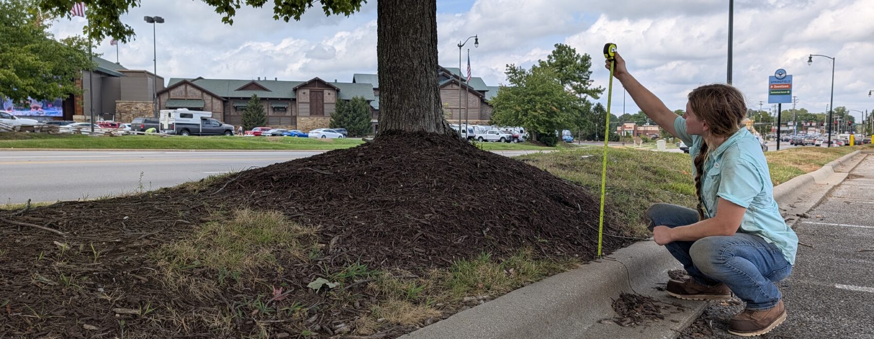 Tree specialist Emma Verburgt examines a tree and mulch in the Springfield, Missouri area